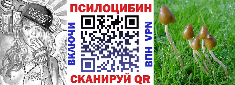 Галлюциногенные грибы Psilocybe Назрань