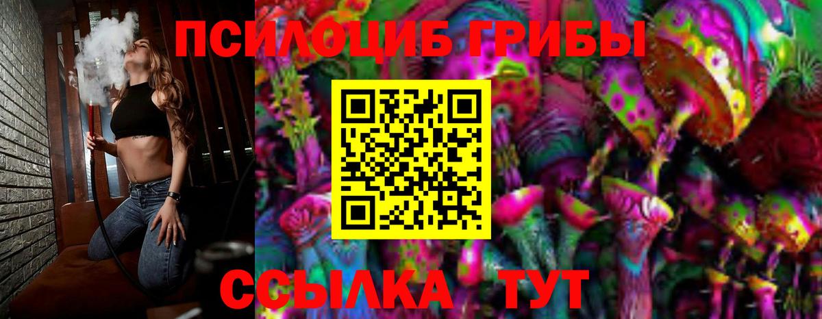 Галлюциногенные грибы Psilocybe  Вход с VPN  Назрань 