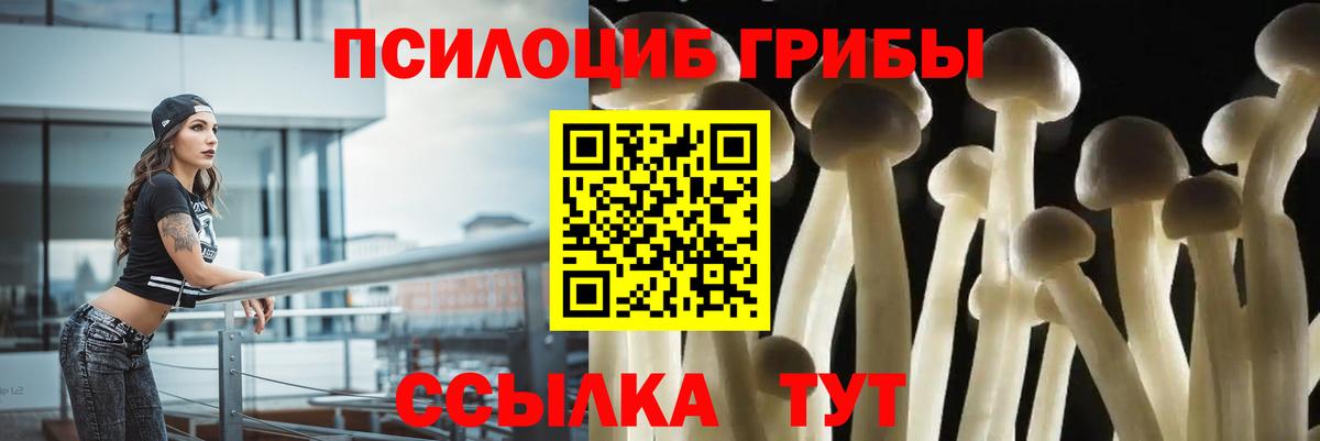 Псилоцибиновые грибы MAGIC MUSHROOMS Назрань